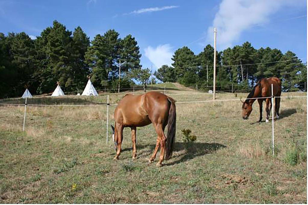 קבריליה Agriturismo Podere La Fornace מראה חיצוני תמונה